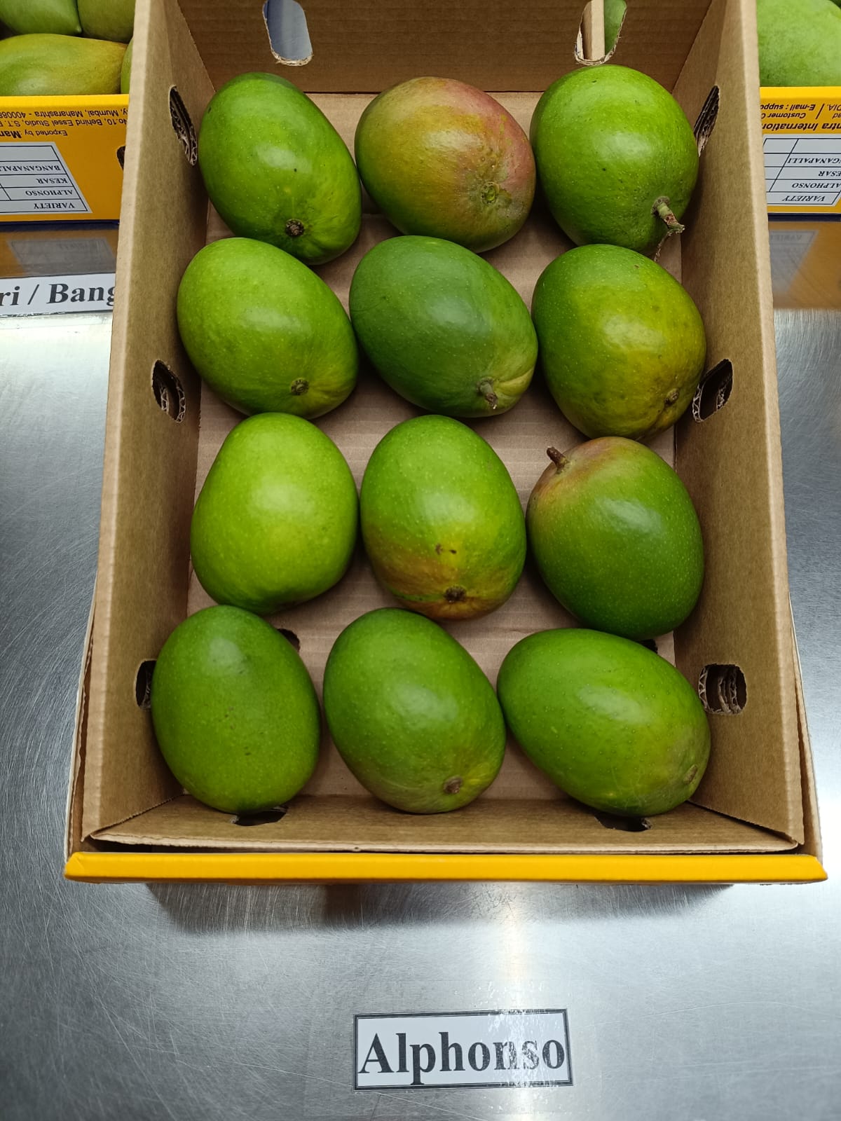 Mango-Alphonso (1.5 Kg Pack)