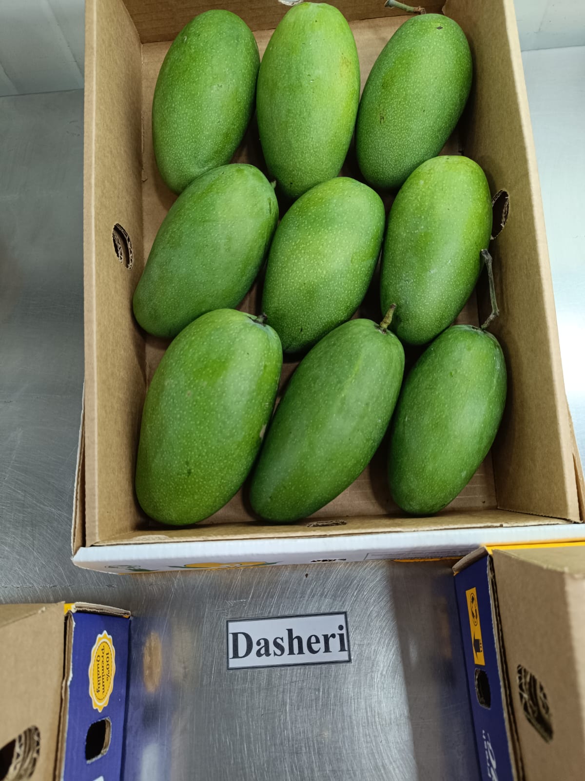 Mango-Dasheri (3Kg Pack)