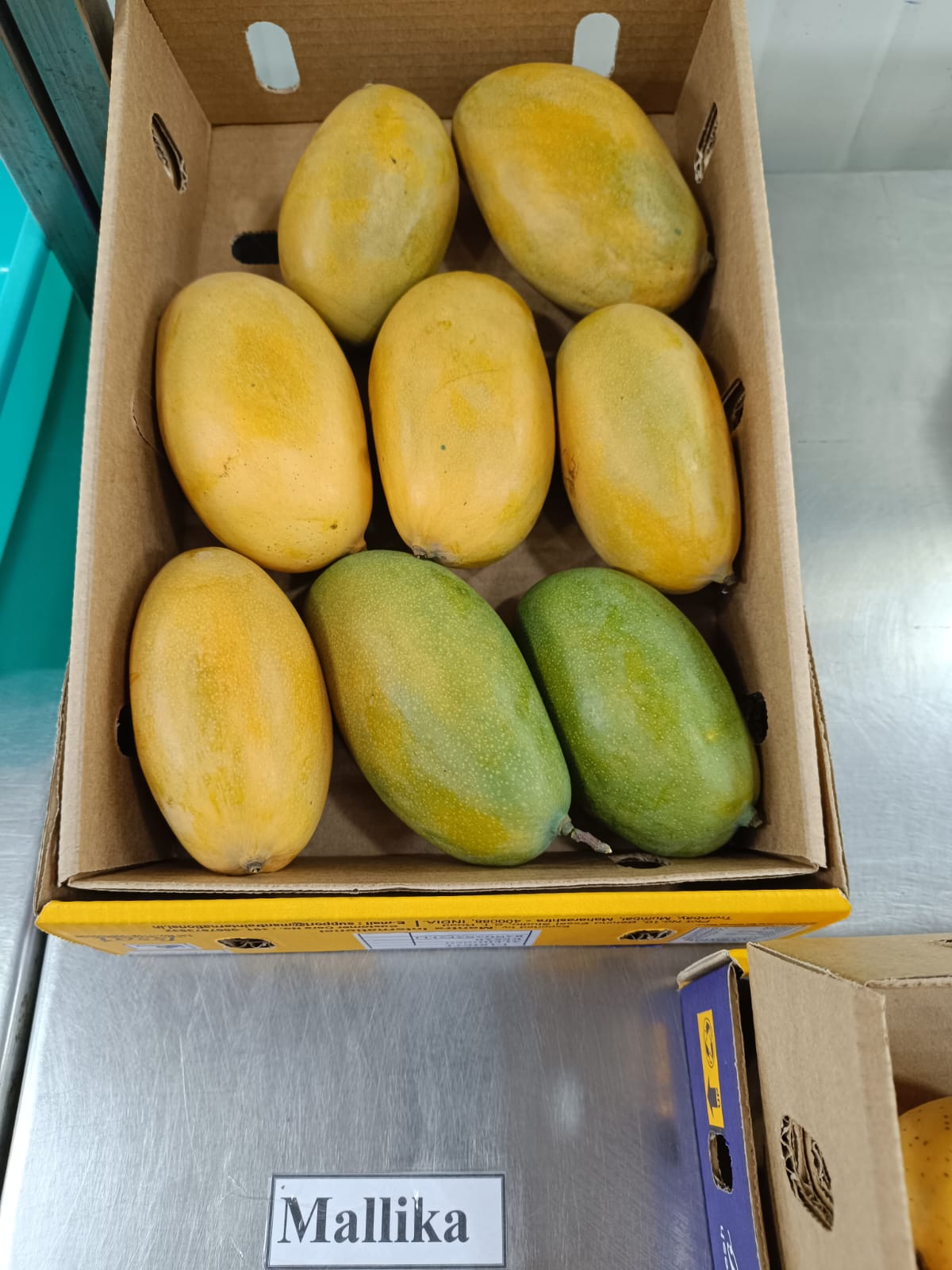 Mango-Mallika