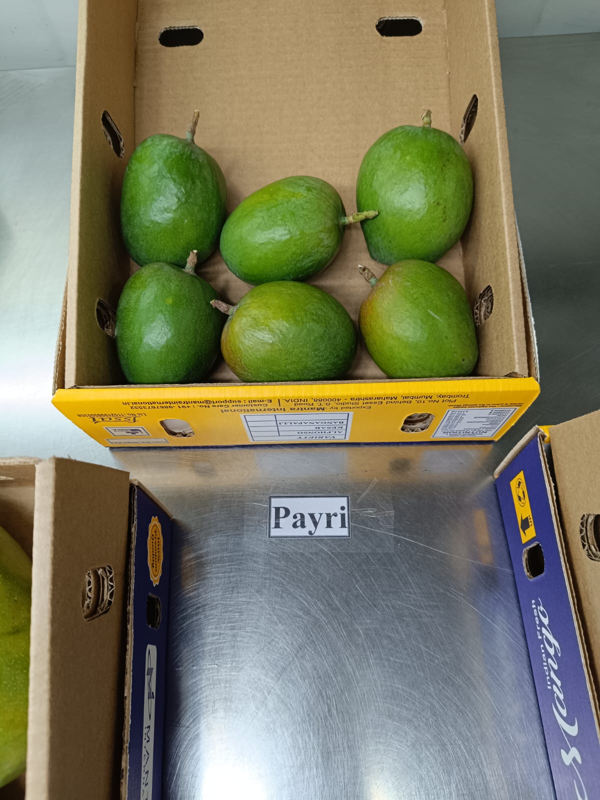 Mango-Payri