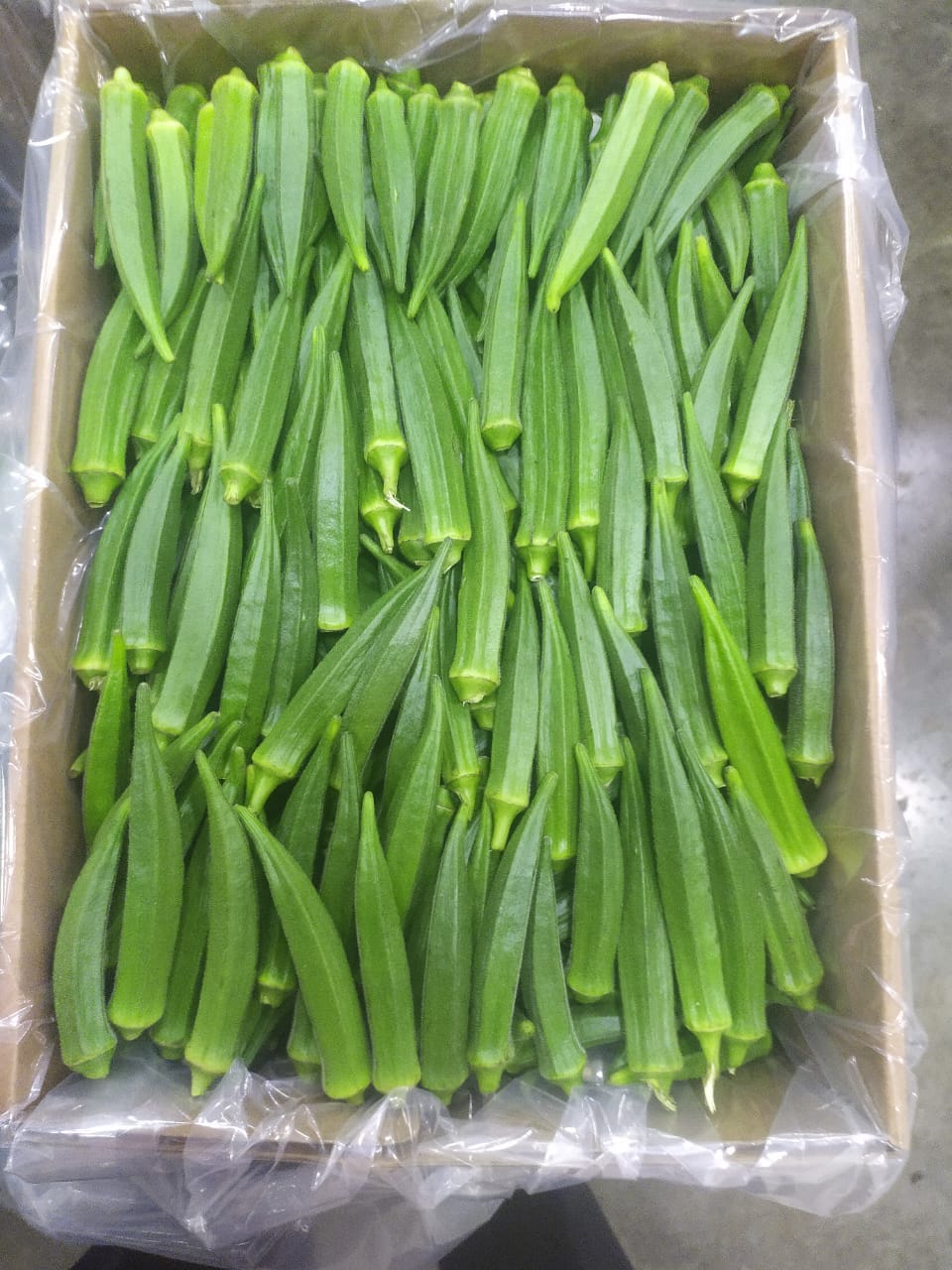 Okra / Lady Finger - 3Kg Pack