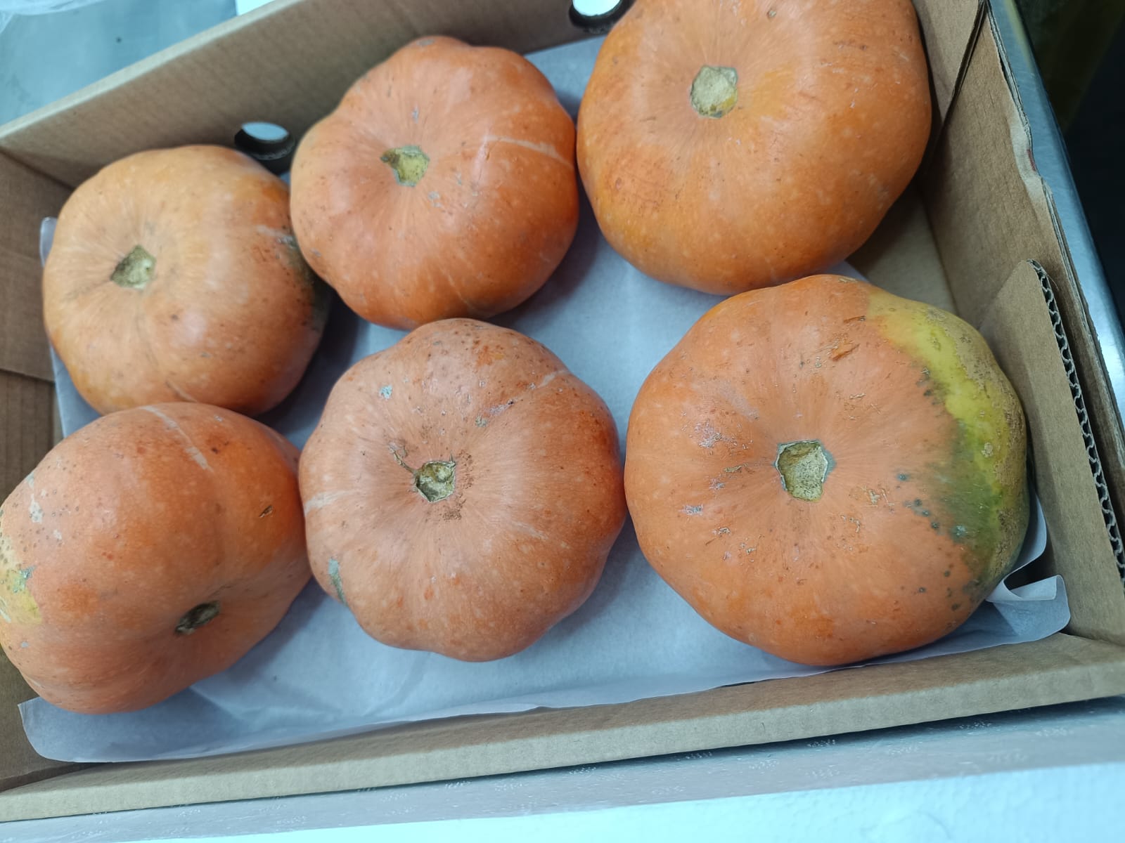 Pumpkin (Red) - 4Kg Pack