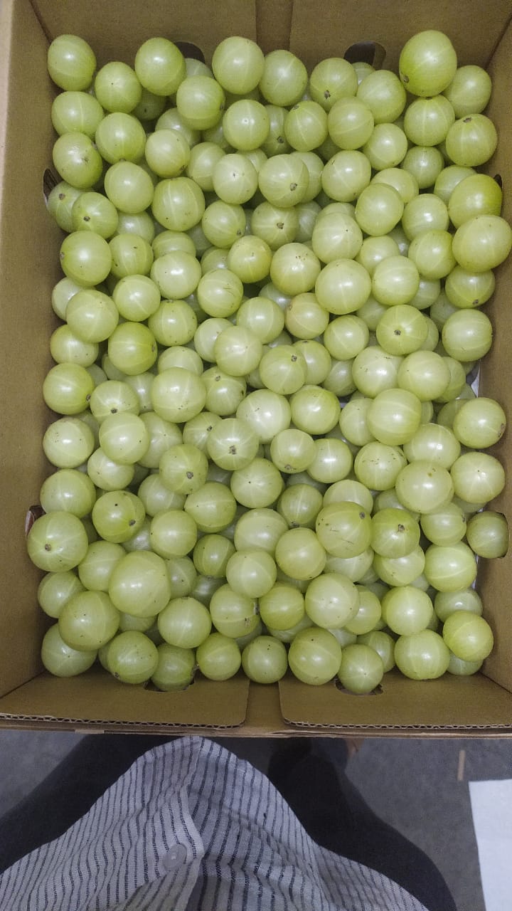 Indian Gooseberry (Amla) - 4Kg Pack