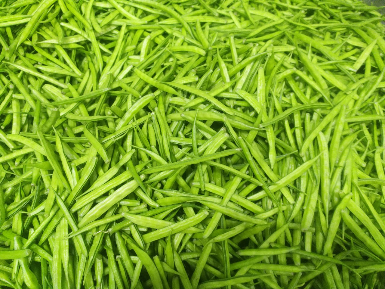 Cluster Beans (Gawar)- 4Kg Pack