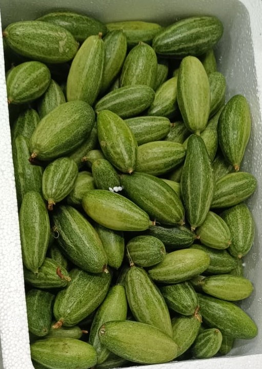 Pointed Gourd (Parwal/Padwal)- 4Kg Pack