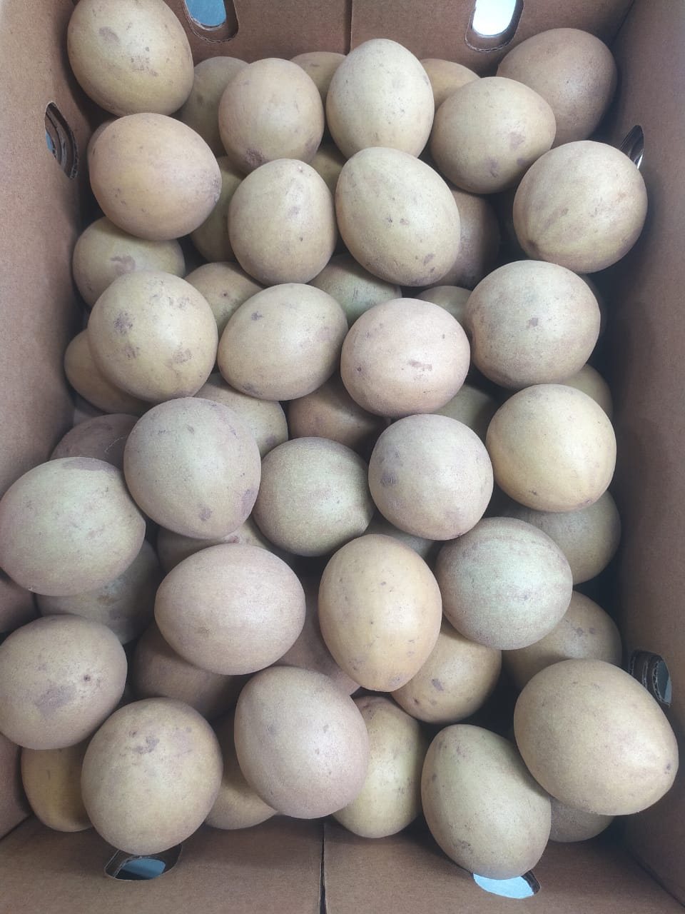 Sapodilla (Chickoo)- 4Kg Pack