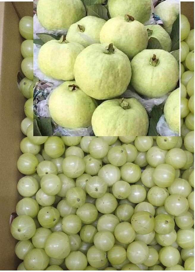 Mix Fruit and Veg - (Guava,Amla) 3Kg Pack