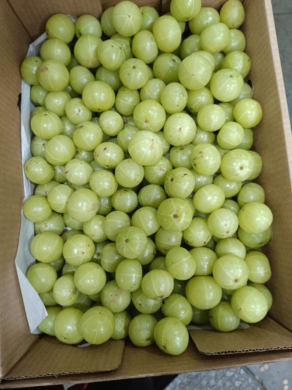 Indian Gooseberry (Amla) - 5Kg Pack