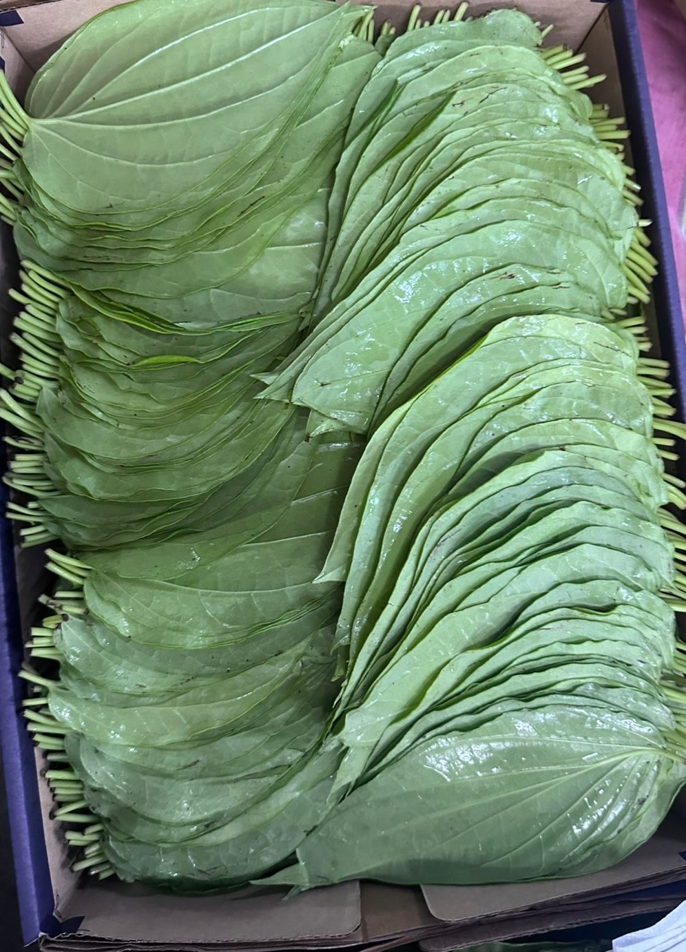 Pan Leaf - 5 Kg Pack