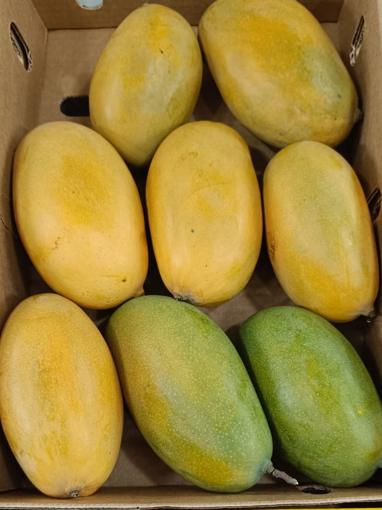 Mango-Mallika