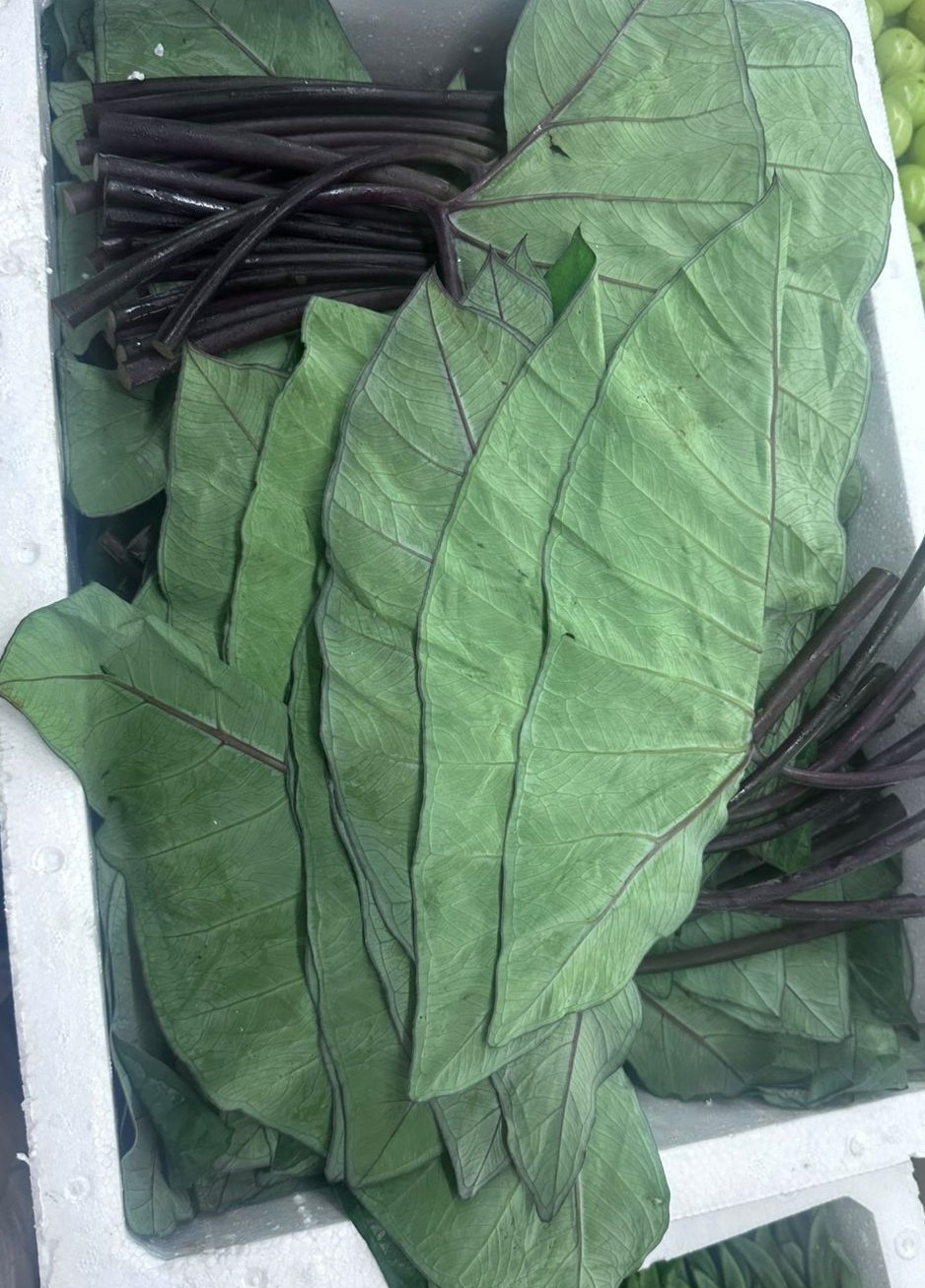 Allo Patra (Arvi Leaf) - 3Kg Pack